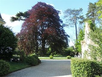 Hotel La Cheneviere