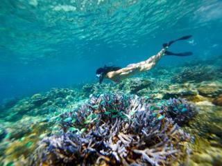 Hotel Mantaray Island Resort