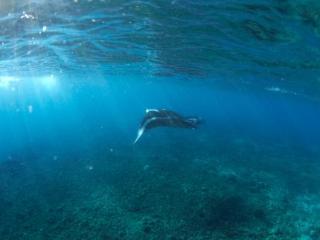 Hotel Mantaray Island Resort