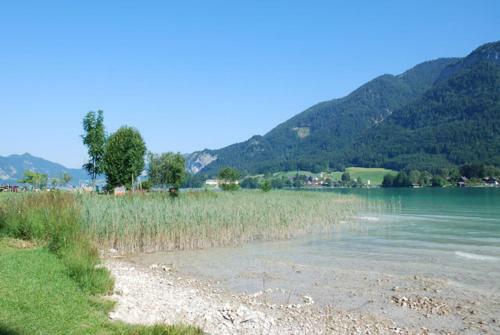 Haus Sch�ffau