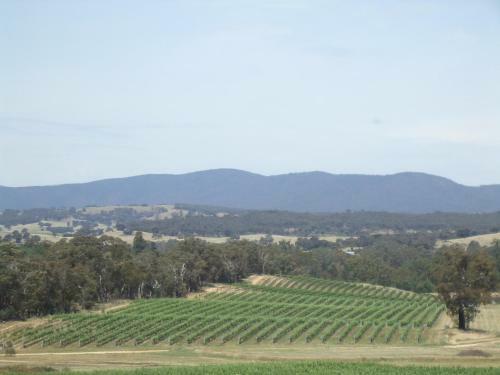 Apartamento Summerfield Winery And Accommodation