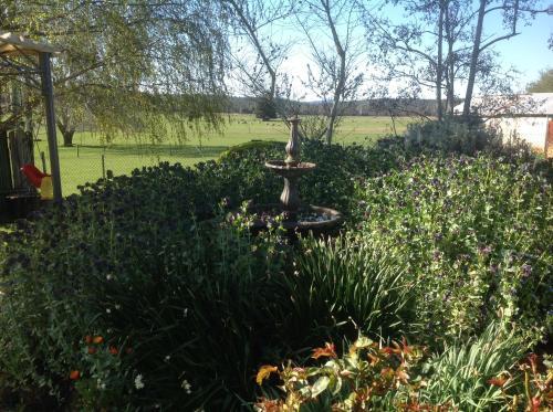 Fairview B&B Cottage