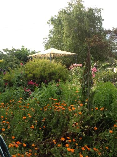 Fairview B&B Cottage