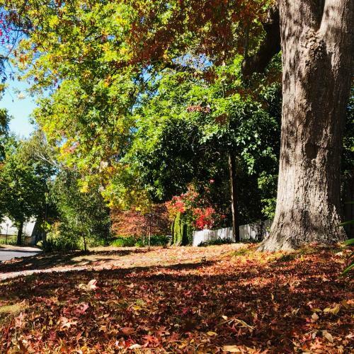 Aldgate Creek Cottage Bed And Breakfast