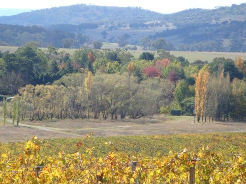 Agroturismo Mayfield Vineyard