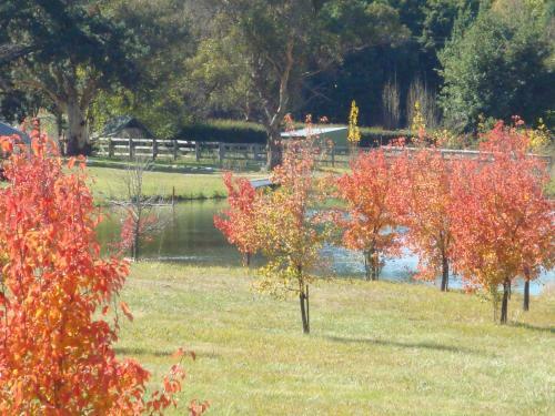 Agroturismo Mayfield Vineyard