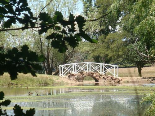 Agroturismo Mayfield Vineyard