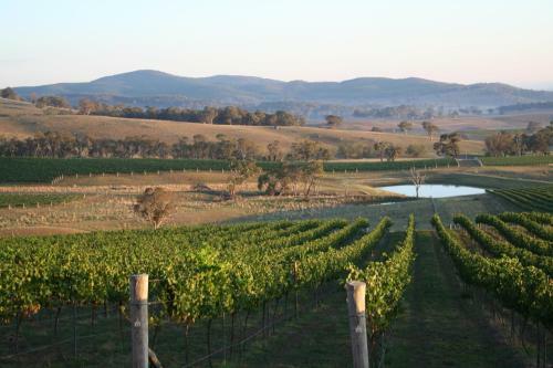 Agroturismo Mayfield Vineyard