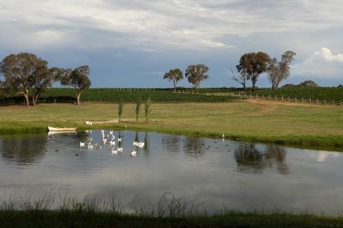 Agroturismo Mayfield Vineyard