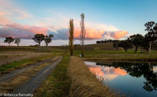 Agroturismo Mayfield Vineyard