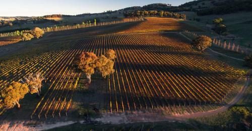 Agroturismo Mayfield Vineyard