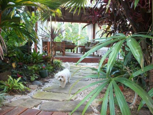 Apartamento Forest Lodge: Bali-style Retreat