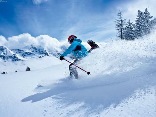 Apartment Chalet Rossberg A