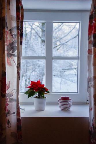 Bed & Breakfast Landlust Ischl