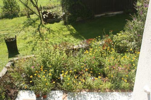Bed & Breakfast Landlust Ischl