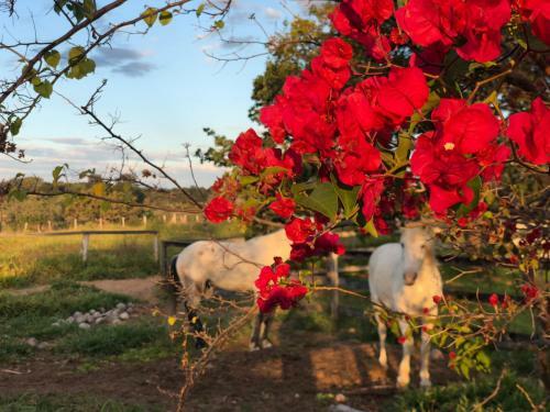 Agroturismo Mar Doce Boutique Hotel