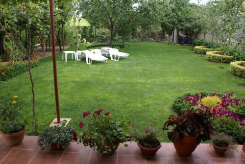 Hostal Guest House Kiwi