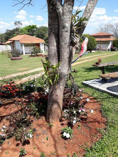 Lodge Pouso Dos Querubins