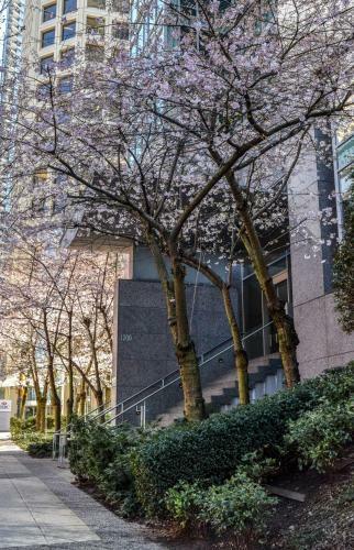Aparthotel Residences On Georgia By Vancouver Extended Stay
