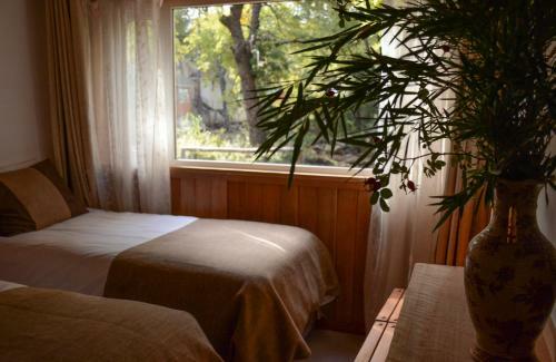 Hotel Y Caba�as Borde Andino