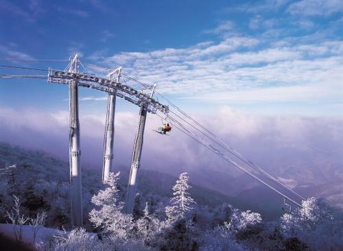 Hotel Yongpyong Resort Tower Condo