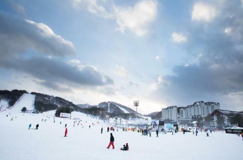 Hotel Yongpyong Resort Tower Condo