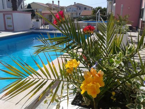 Apartment Camelia
