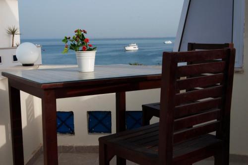 Elaria Hotel Hurgada
