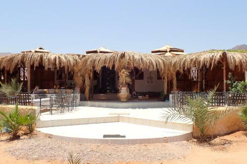 Bedouin Star (ras Shetan Area)