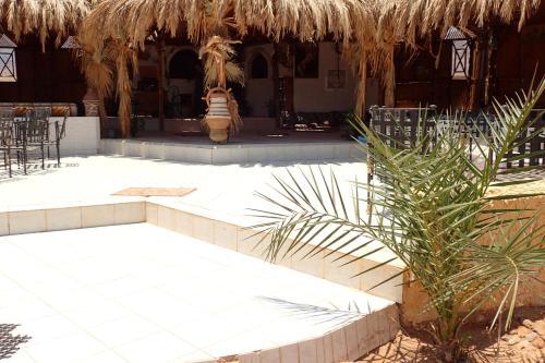 Bedouin Star (ras Shetan Area)