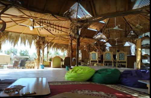Bedouin Star (ras Shetan Area)