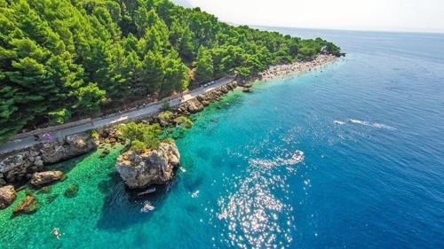Apartments Villa Ursic