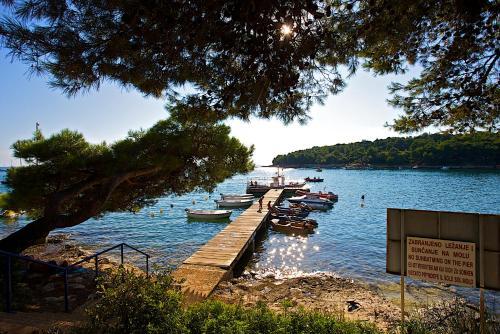 Camping Indije