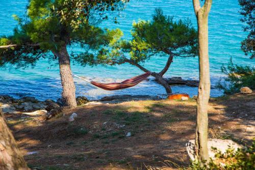 Camping Indije