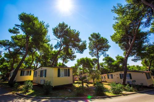 Camping Indije