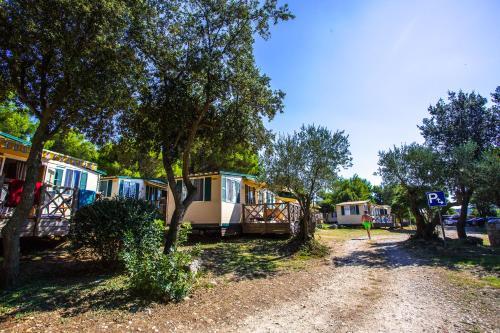 Camping Indije