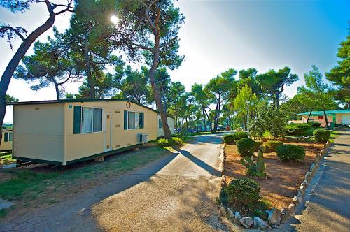 Camping Indije