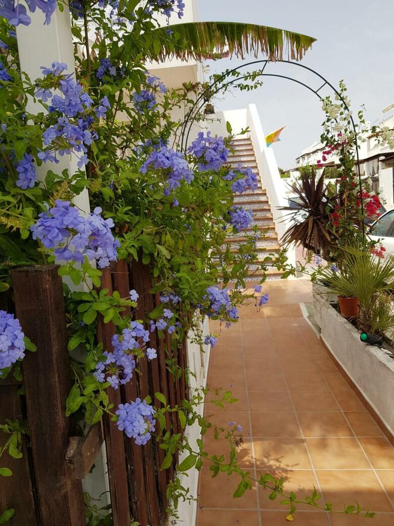 Hostal El Palmeral