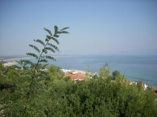 Alexandros Apartments