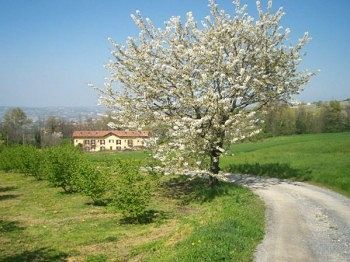 Bed & Breakfast L'atelier Di Pierflavio Gallina