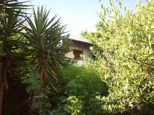 Apartamento Caviri