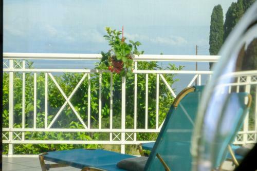 Brentanos Apartments - View Of Paradise