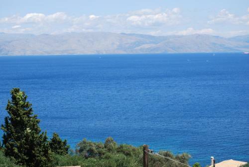 Brentanos Apartments - View Of Paradise