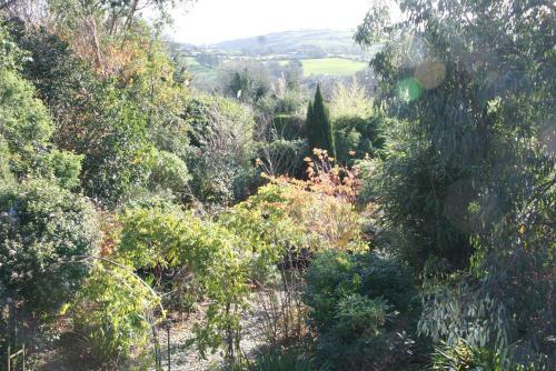 Bed & Breakfast Lis-ardagh Lodge