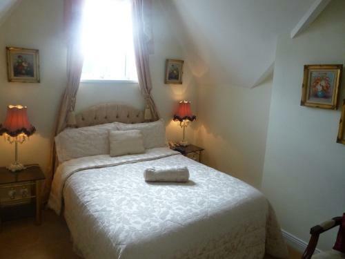 Hostal The Blarney Stone Guesthouse