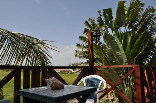 Apartamentos White Coconut Studio