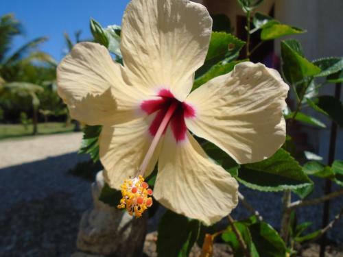 Serenity Sands Bed And Breakfast