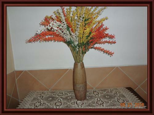 Posada Hostelling Bustillo