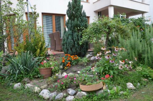 UNA Villa Deluxe