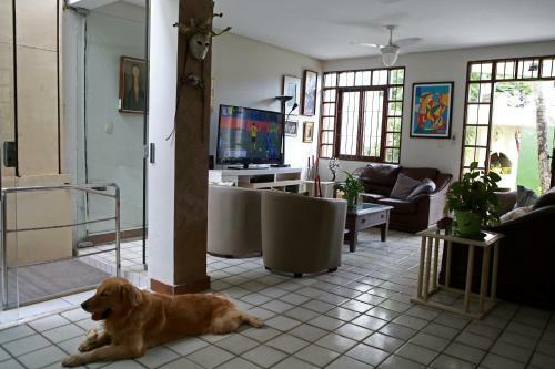 Kruger Home